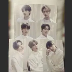 ENHYPEN 儚い タワレコ フライヤー 7枚セット コンプ