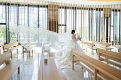 ロングベール　3m