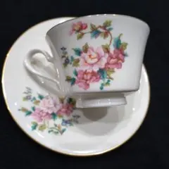 Item thumbnail for item 6d7fb6ee-d5bc-41b3-a8fc-cde1f6d8bfc3