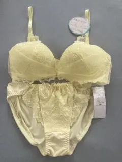 新品タグ付き★Pan Cute☆ノンワイヤーブラジャー＆ショーツセット M