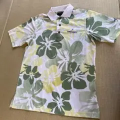 Item thumbnail for item d41f08a4-f3f2-4177-909d-4c3826e90715