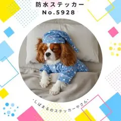 【送料無料❣️】キャバリア防水ステッカー ねんねわんこ