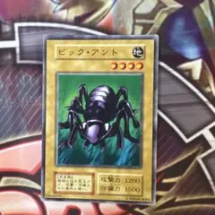 Tomo様 リクエスト 3点 まとめ商品