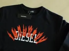 Item thumbnail for item 475f3dfa-56cc-42b1-90fb-1488f35f3c81