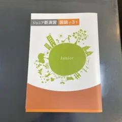 たま様 リクエスト 2点 まとめ商品