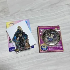 ディズニープリンセス 二層アクリルキーホルダー 24金バッジ 2個セット