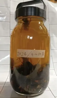 焼酎！オオスズメバチ焼酎漬け松の露 20年以上物！ 焼酎！オオスズメバチ焼酎漬け松の露 20年以上物！ - メルカリ