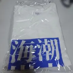 潮音海岸 Tシャツ L ビーチボーイズ