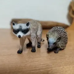 シュライヒ アライグマ ハリネズミ