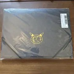 d*2様 ポケモン ケース入りA4クリアファイルセットPG コレクタブルアート
