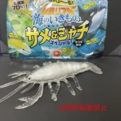 光る！のび〜る最強リアル海のいきもの サメ＆シャチ