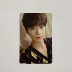 ディノ ヘンガレ 헹가래 トレカ セブチ ⑥