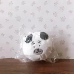 ふわもち！くまだらけぬいぐるみくじ　E賞　おかおマスコットバッジ　パグ⑥のサムネイル