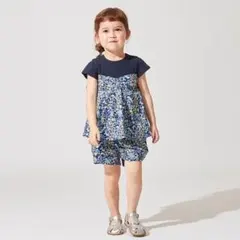 プティマイン　セットアップ
