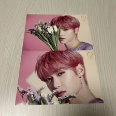 Stray Kids フィリックス District9 ランダムトレカ セット