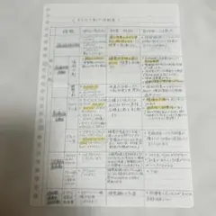 看護学生・新人看護師向け 下剤・便秘薬まとめ 手書き学習ノート A4 2枚のサムネイル
