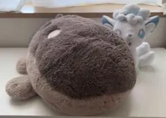 ドオー アローラロコン ぬいぐるみ セット売り