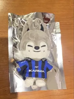 Stray Kids スキズ　KARMA SKZOOver.