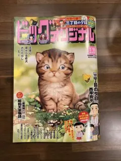 Item thumbnail for item 3c7fc582-b2a2-4c13-a155-2e3a0deb658d