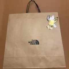THE NORTH FACE ショップ袋 大　プレゼント　ギフト