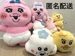 おぱんちゅうさぎ　まとめ売り　んぽちゃむ　ぬいぐるみ