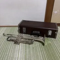 Item thumbnail for item 5d271b56-7b3b-4a65-9708-9644a97d46f3