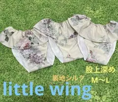 Item thumbnail for item 0a5e6218-0899-4651-8697-949611afddbc