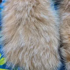 Item thumbnail for item 4b398dbc-c854-4746-b502-b65681cb9dff