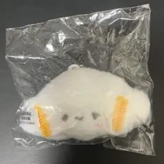 サンリオキャラクターズ　ぬいぐるみチャーム　こぎみゅん