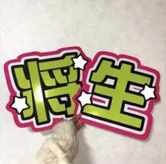 timelesz うちわ文字 橋本将生 派手 規定外 可愛い