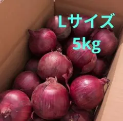 北海道道東産 赤玉ねぎ5㎏ 農家直送‼️送料込み - メルカリ