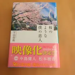 桜のような僕の恋人 宇山佳佑