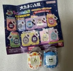 大たまごっち展　まめっち　めめっち　セット