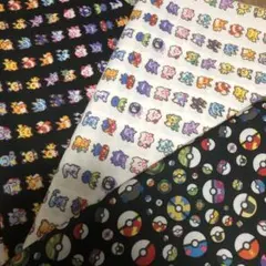 はぎれ ポケモン