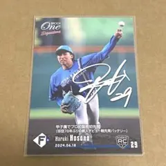 Item thumbnail for item 4a87eff7-1229-4a25-89e7-bf3b4eef83ce