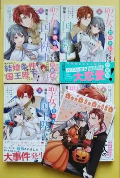 聖女が甘やかしてくれる優しい旦那様を募集したら国王陛下が立候補してきた　特典付き