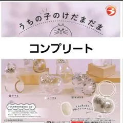 うちの子のけだまだま 全6種セット コンプリート キーホルダー 猫 ガチャ
