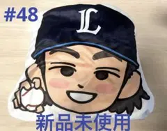 【開封済・未使用】埼玉西武ライオンズ 2WAYブランケット 今井達也選手ver