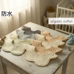 Item thumbnail for item 8f2c4af2-1d2a-49b9-91f4-1b2defd2c019