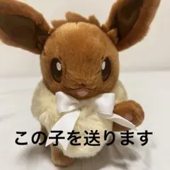 ポケモン イーブイコレクション