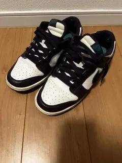 NikeDunk Low Retro Chenille Swoosh