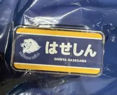 西武ライオンズ シークレットネームプレート 長谷川信哉 はせしん