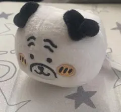 ナガノキャラクターズ　ねそべりぬいぐるみ　パグさん　ガチャガチャ