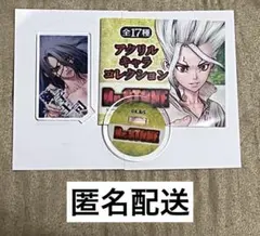 2026年最新】アクリルキャラコレクション dr.stoneの人気アイテム