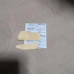 すかいらーくグループ25%ご家族優待券12月末　2枚