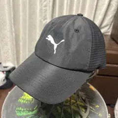 Item thumbnail for item 43dd310f-c10e-4f2a-91fa-874812cfa5b4