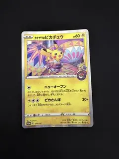 カナザワのピカチュウ：「スペシャルBOX ポケモンセンターカナザワ