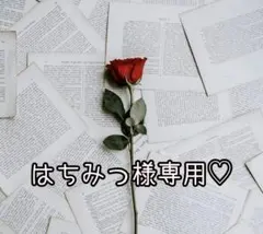 はちみつ様専用