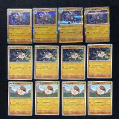 コノヨザル　進化ライン　ふんどのつぼ　16枚セット