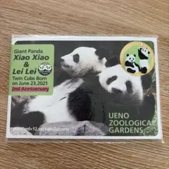 上野動物園 パンダ シャオシャオ レイレイ クリアファイル タンブラー